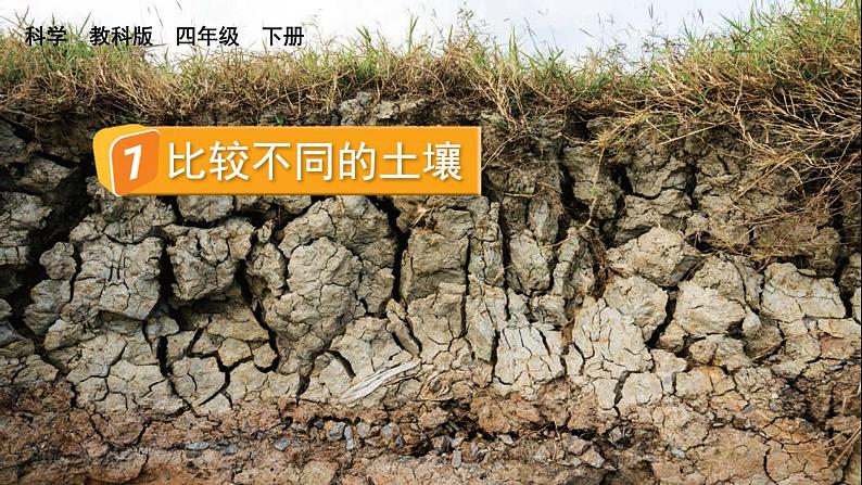 教科版科学四年级下册 3.7比较不同的土壤 课件第1页