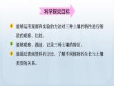 教科版科学四年级下册 3.7比较不同的土壤 课件