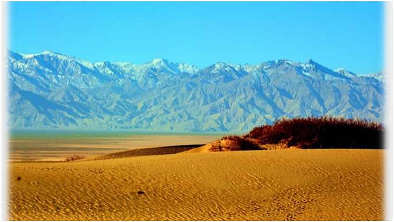 教科版科学四年级下册 3.7比较不同的土壤 课件第5页