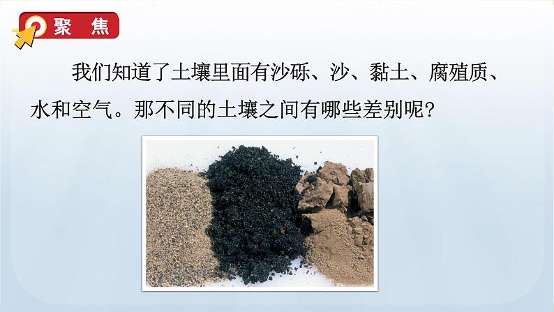教科版科学四年级下册 3.7比较不同的土壤 课件第6页