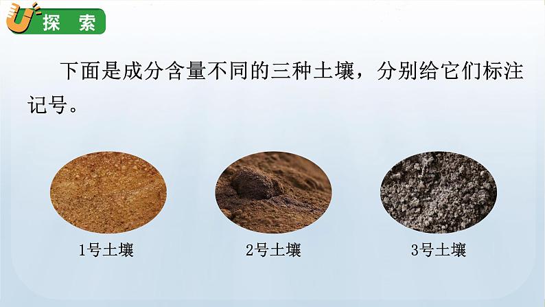 教科版科学四年级下册 3.7比较不同的土壤 课件第7页