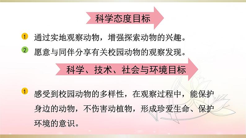 教科版科学一年级下册 2.2校园里的动物 课件第3页