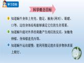 教科版科學(xué)一年級下冊 2.3觀察一種動物 課件