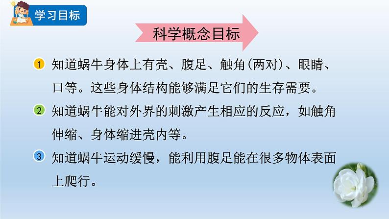 教科版科学一年级下册 2.3观察一种动物 课件02