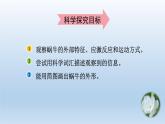 教科版科學(xué)一年級下冊 2.3觀察一種動物 課件