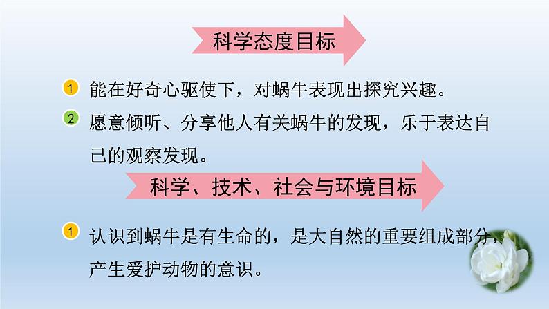 教科版科学一年级下册 2.3观察一种动物 课件04