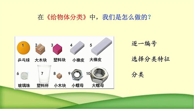 教科版科学一年级下册 2.6给动物分类 课件05