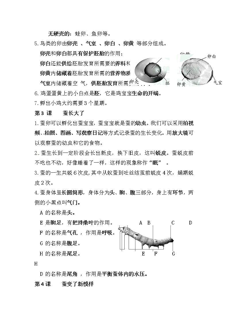 第二单元 动物的一生——2022-2023学年教科版三年级下册科学复习讲义（知识点清单）02