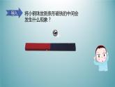 3、磁铁的两极课件PPT