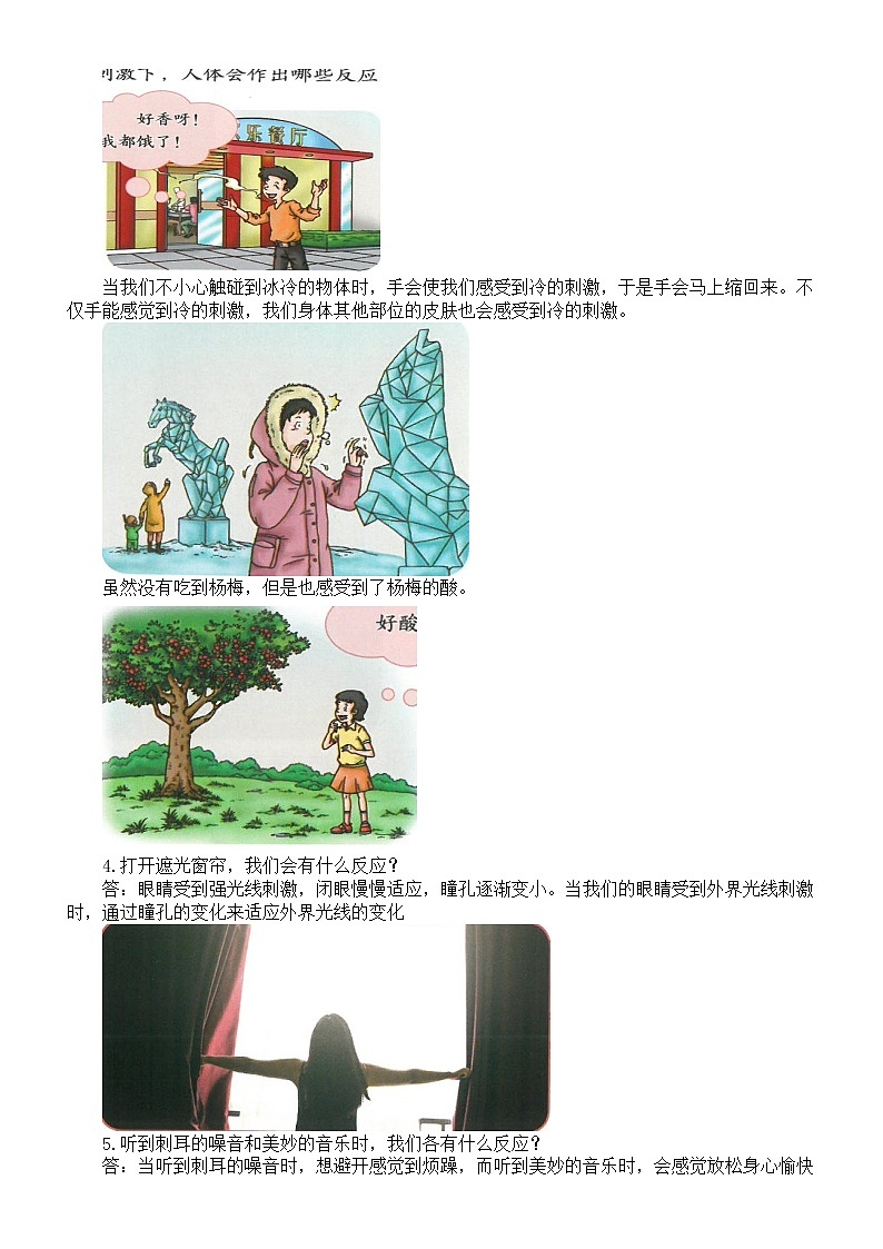 小学科学人教鄂教版五年级下册第三单元第8课《人的感知与反应》知识点（2023春）02