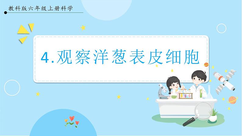 【教科版】六上科学 1.4《 观察洋葱表皮细胞》（课件+素材）01