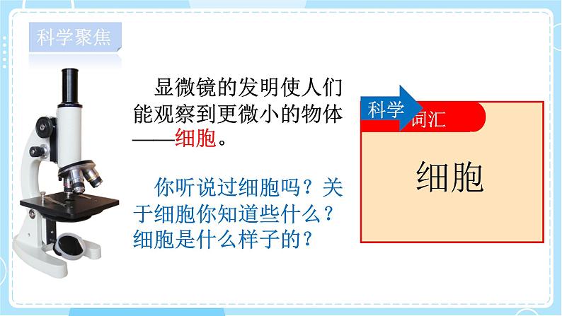 【教科版】六上科学 1.4《 观察洋葱表皮细胞》（课件+素材）04
