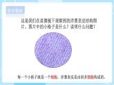 【教科版】六上科學(xué) 1.5 《觀察更多的生物細(xì)胞》（課件+素材）