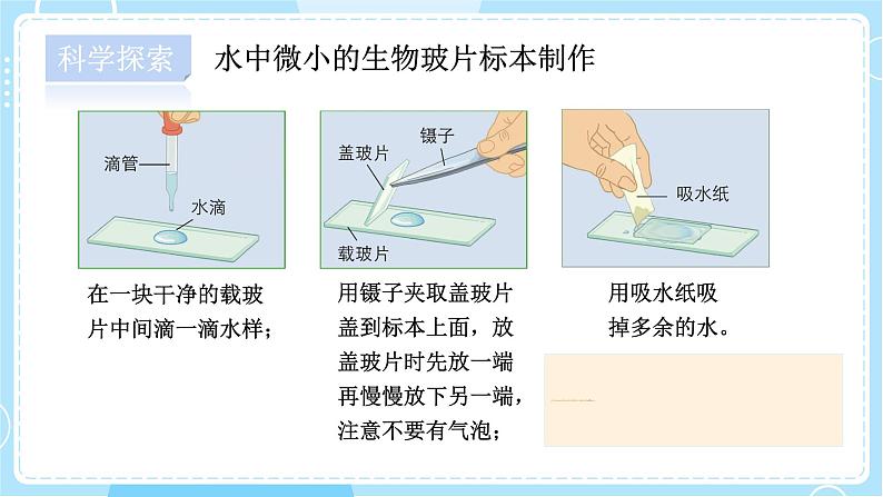 1.6 观察水中微小的生物第6页