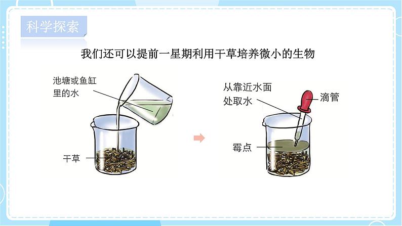 1.6 观察水中微小的生物第7页