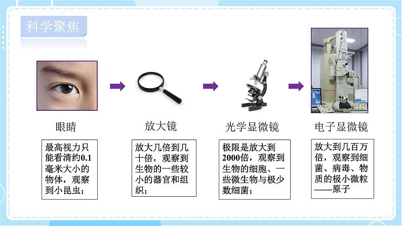 【教科版】六上科学 1.7 《微生物与健康》（课件+素材）03