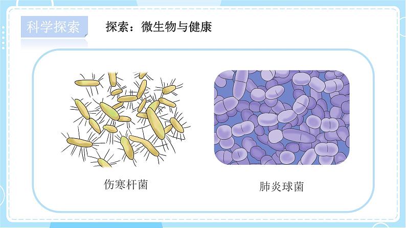 【教科版】六上科学 1.7 《微生物与健康》（课件+素材）05