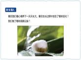人教鄂教版四下【新課標(biāo)】2.7《蠶的生長(zhǎng)變化》課件+教案+視頻素材