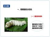 人教鄂教版四下【新課標(biāo)】2.7《蠶的生長(zhǎng)變化》課件+教案+視頻素材