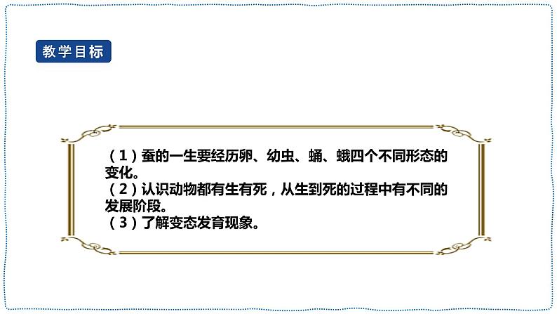 人教鄂教版四下【新课标】2.8《蚕的一生》课件+教案02