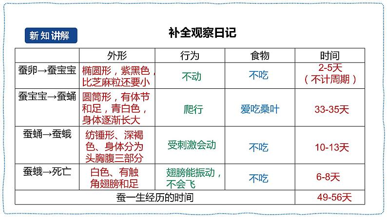 人教鄂教版四下【新课标】2.8《蚕的一生》课件+教案06