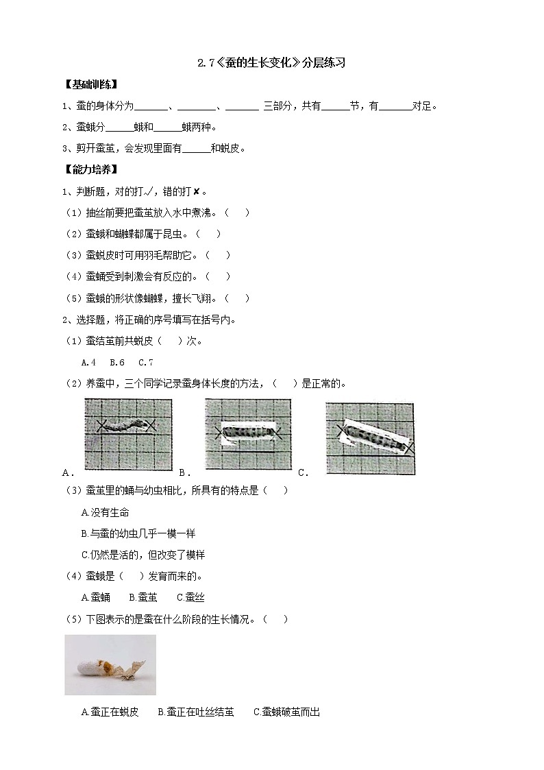 人教鄂教版四下【新课标】2.7《蚕的生长变化》分层练习（含答案）01