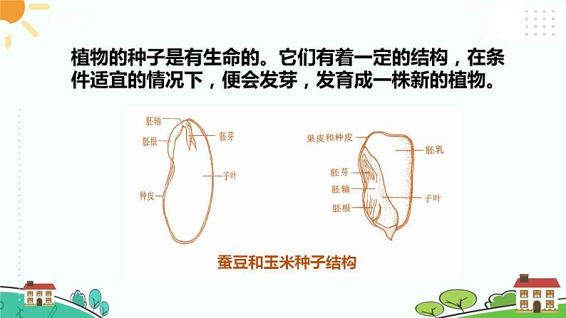 教科版五年级科学下册第1课时  种子发芽实验 课件+素材+教案+同步练习含解析卷03