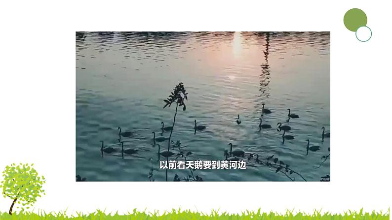 大象版科学（2017）六年级下册1-3《环境变化与动物行为》 课件第6页