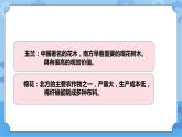 青岛版（六三制2017秋）四年级下册4.15.调查家乡植物 课件