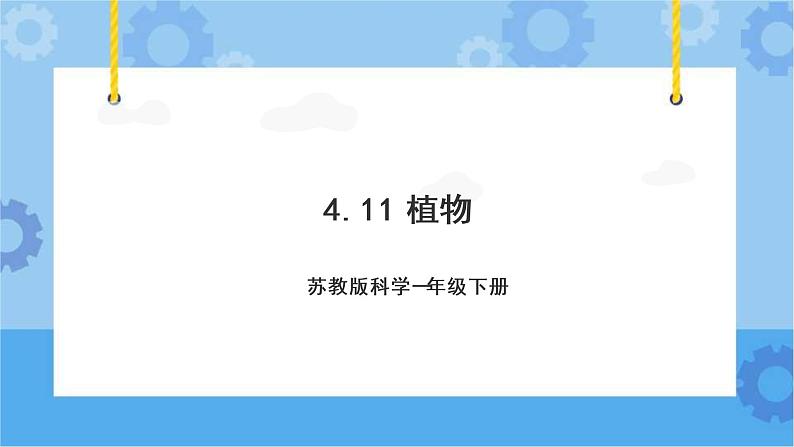 苏教版（2017秋） 一年级下册4.11.多姿多彩的植物（教案+课件+视频 ）01