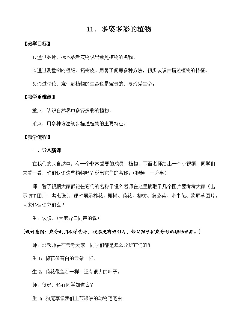 11 植物 教案第1页