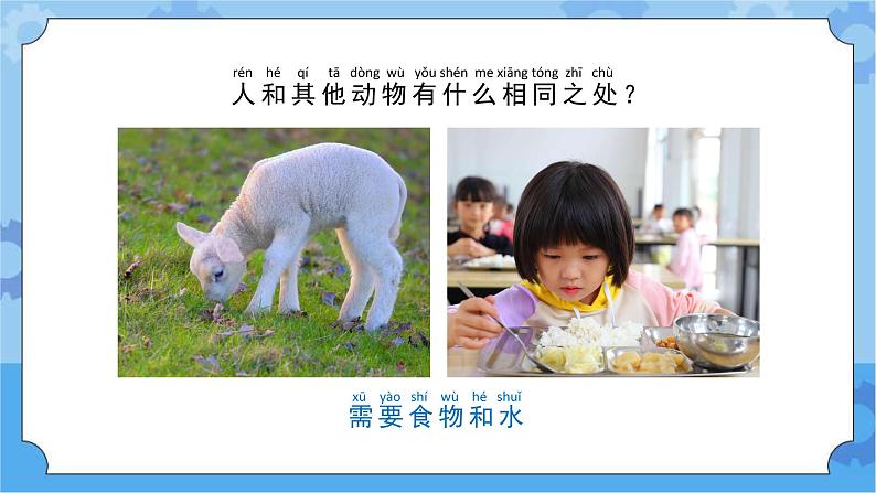 苏教版（2017秋）一年级下册科学4.12.动物·人（教案+课件 +视频）04