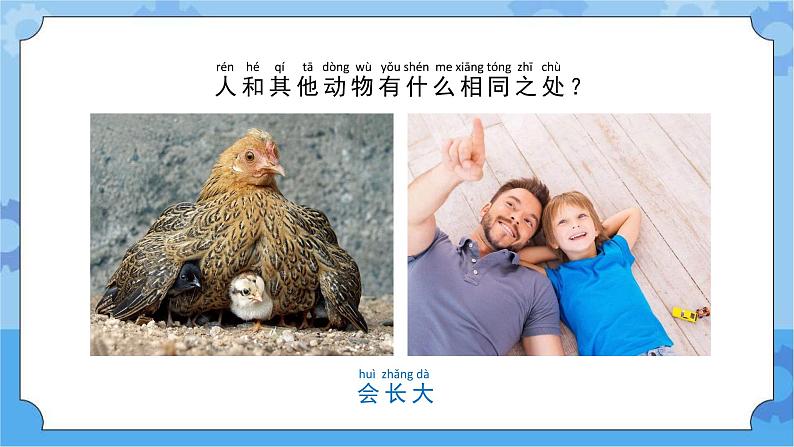 苏教版（2017秋）一年级下册科学4.12.动物·人（教案+课件 +视频）05