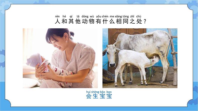 苏教版（2017秋）一年级下册科学4.12.动物·人（教案+课件 +视频）06