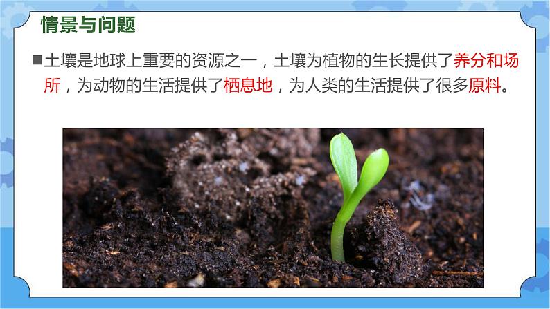 第三课 保护土壤资源（课件+练习+教案）-2022-2023学年四年级科学下册同步备课（冀人版）03