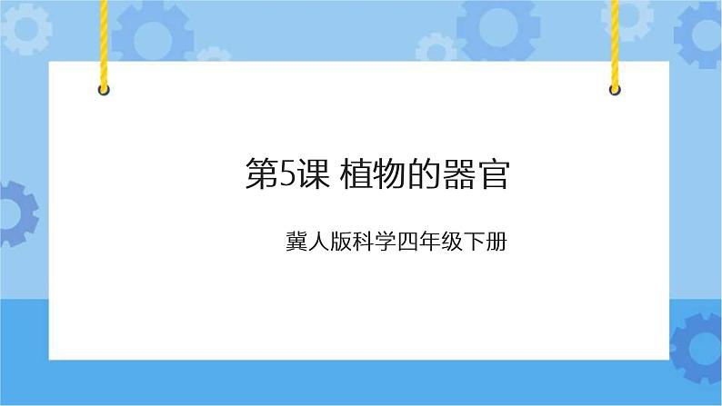 第五课 植物的器官（课件+练习+教案）-2022-2023学年四年级科学下册同步备课（冀人版）01