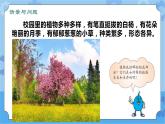 第五课 植物的器官（课件+练习+教案）-2022-2023学年四年级科学下册同步备课（冀人版）