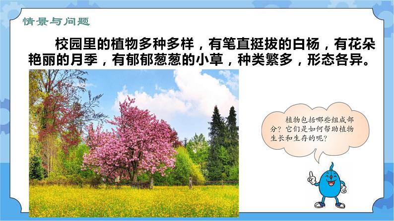 第五课 植物的器官（课件+练习+教案）-2022-2023学年四年级科学下册同步备课（冀人版）03