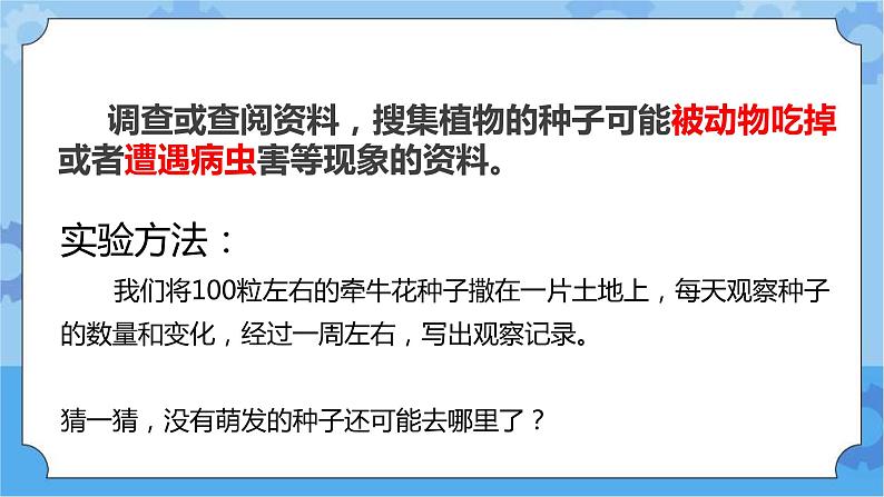 第六课 植物的繁殖（课件+练习+教案）-2022-2023学年四年级科学下册同步备课（冀人版）06