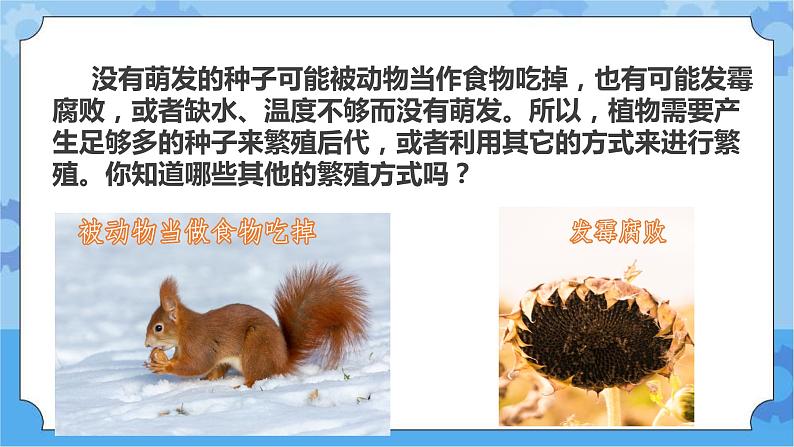 第六课 植物的繁殖（课件+练习+教案）-2022-2023学年四年级科学下册同步备课（冀人版）08