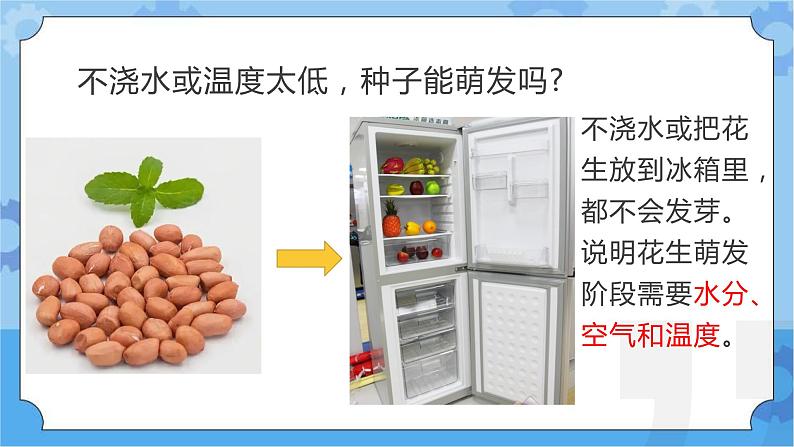 第七课 植物的一生（课件）-2022-2023学年四年级科学下册同步备课（冀人版）第6页