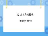 10 天气与动植物（课件）一年级下册科学冀人版