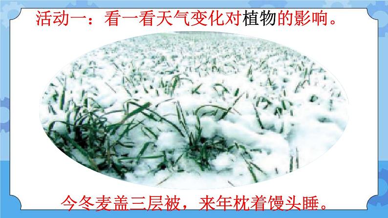 10 天气与动植物（课件）一年级下册科学冀人版06