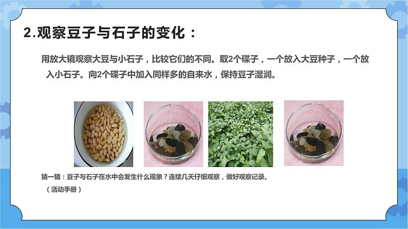 三年级下册科学课件  1.生物与非生物  冀人版第4页