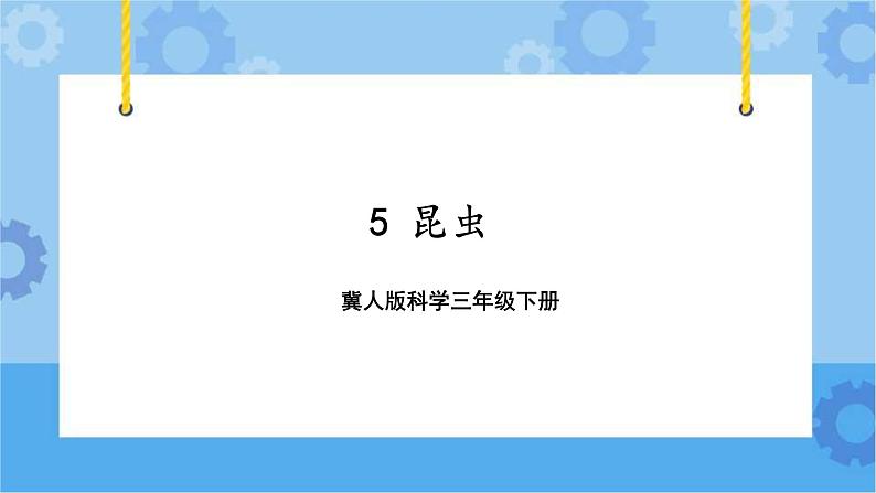 第一单元 5 昆虫  冀人版科学三年级下册课件+教案01