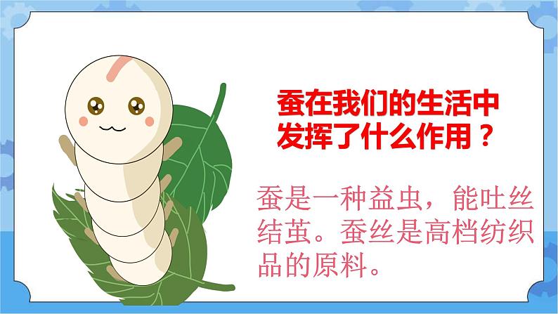 第一单元 5 昆虫  冀人版科学三年级下册课件+教案05