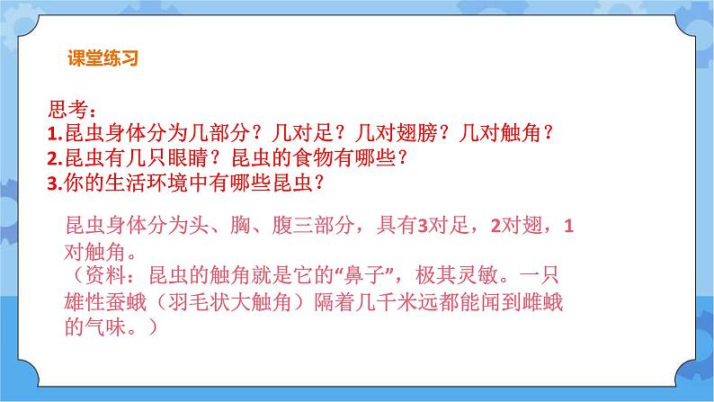 第一单元 5 昆虫  冀人版科学三年级下册课件+教案06