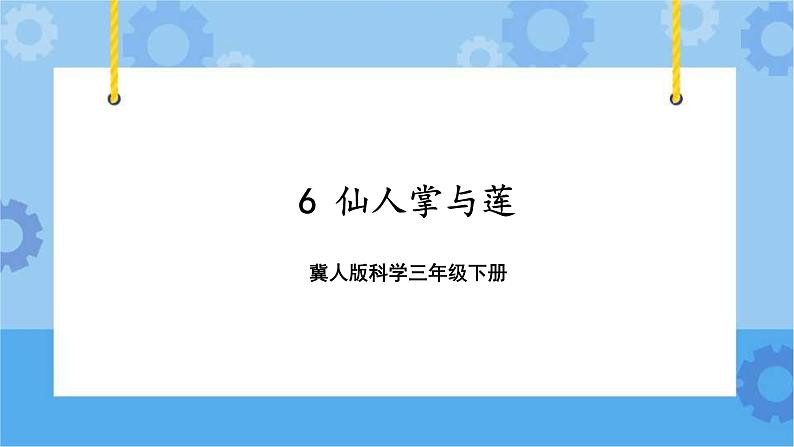 第二单元 6 仙人掌与莲  冀人版科学三年级下册课件+教案01