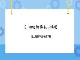 第二单元 8 动物的换毛与换羽  冀人版科学三年级下册课件+教案