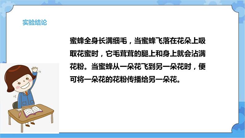 第三单元 10 蜜蜂传粉  冀人版科学三年级下册课件+教案08